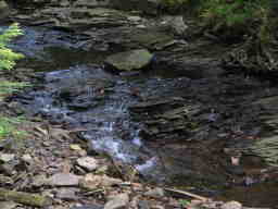 rocky stream